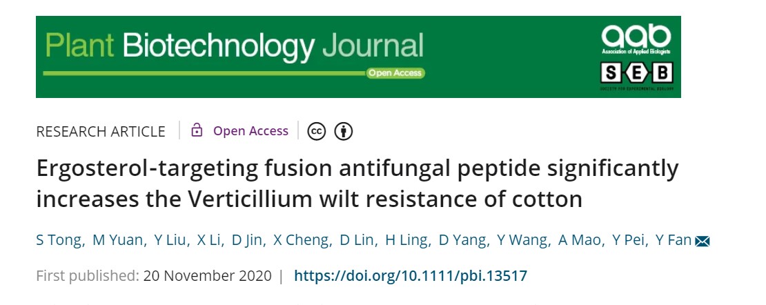范艳华团队利用靶向真菌麦角甾醇的融合抗菌肽来提高棉花黄萎病抗性